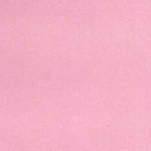 Meet your Posher, Carter